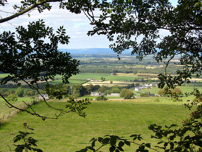 View From Ballagh Loop Walk