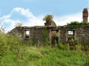 Ruin on the Ballagh, Durrow.