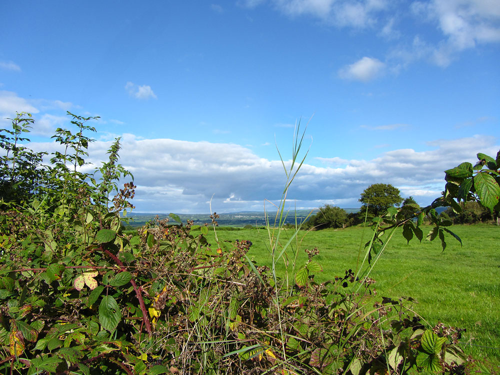 The Ballagh, Durrow, Co. Laois