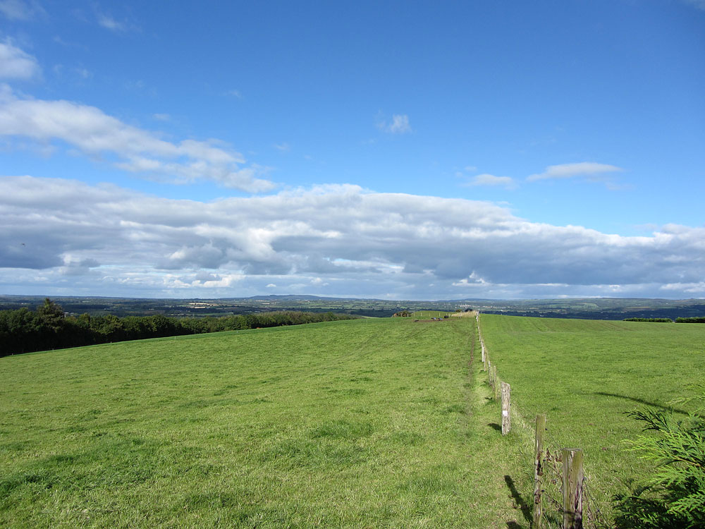 The Ballagh, Durrow, Co. Laois