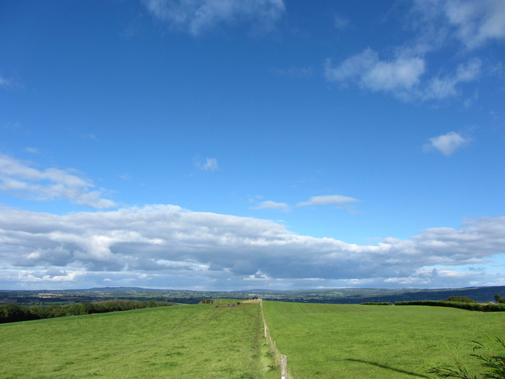 The Ballagh, Durrow, Co. Laois