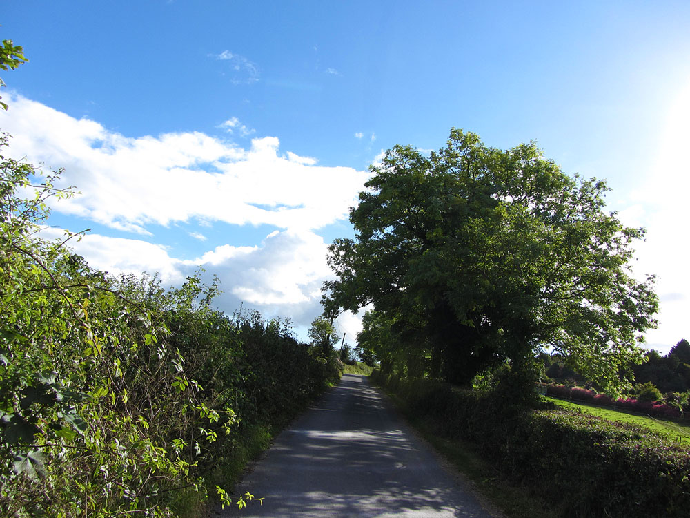 The Ballagh, Durrow, Co. Laois