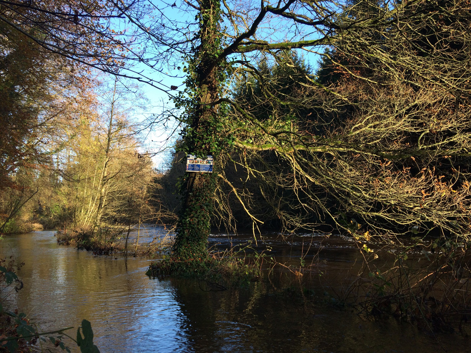 Riverbank Walkway at Dunmore Wood