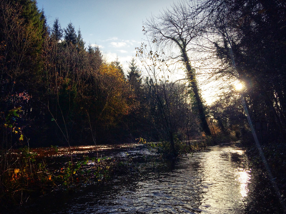 Riverbank Walkway at Dunmore Wood