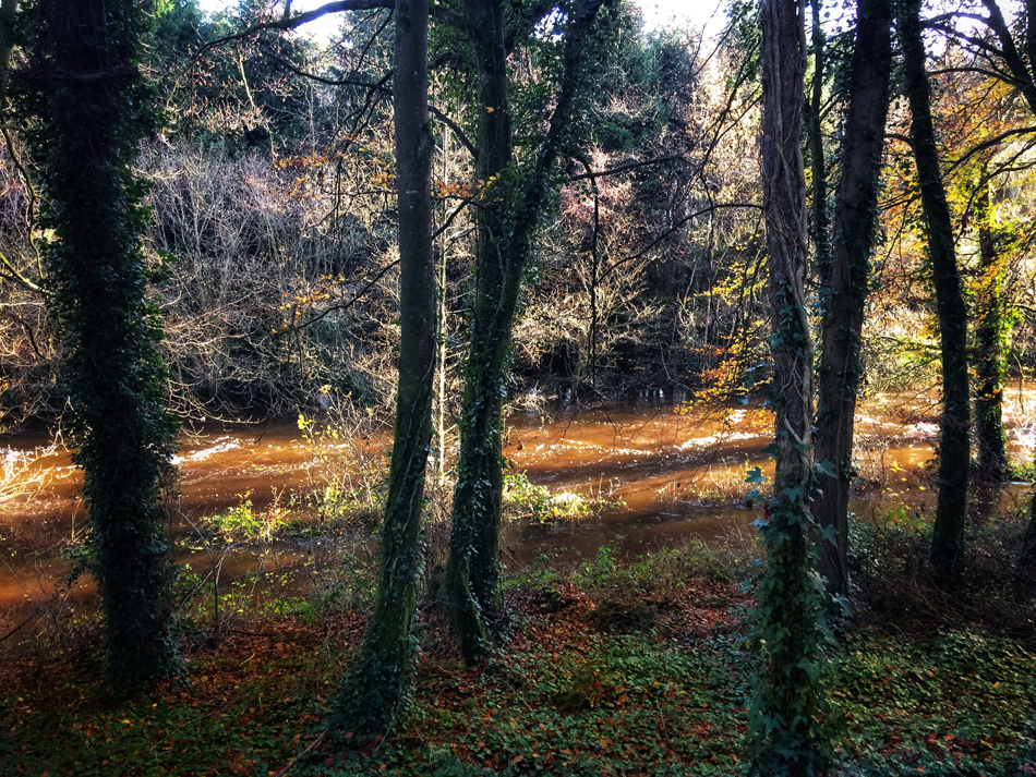 Flooding at Dunmore Wood, Durrow