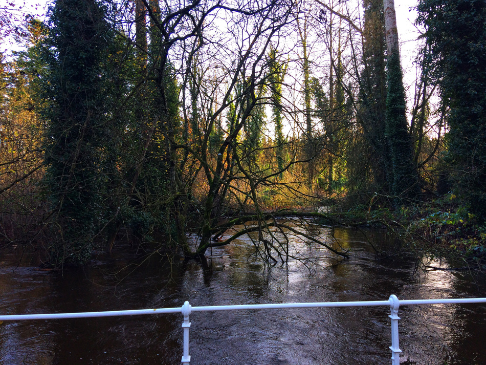 The River Gully