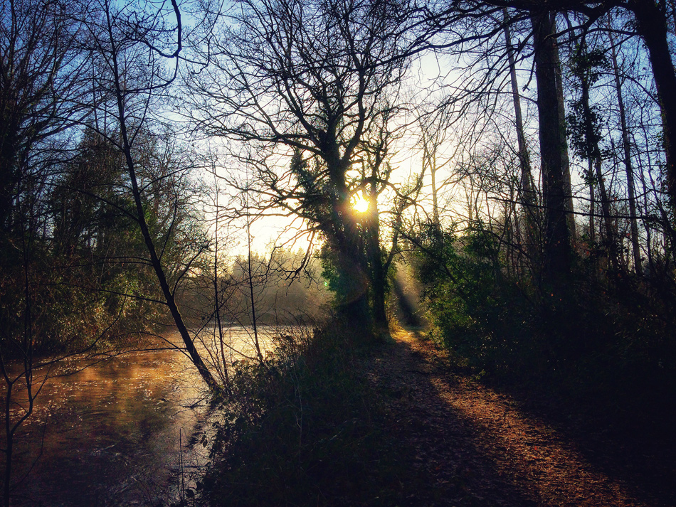 Along the riverbank at Dunmore Wood.